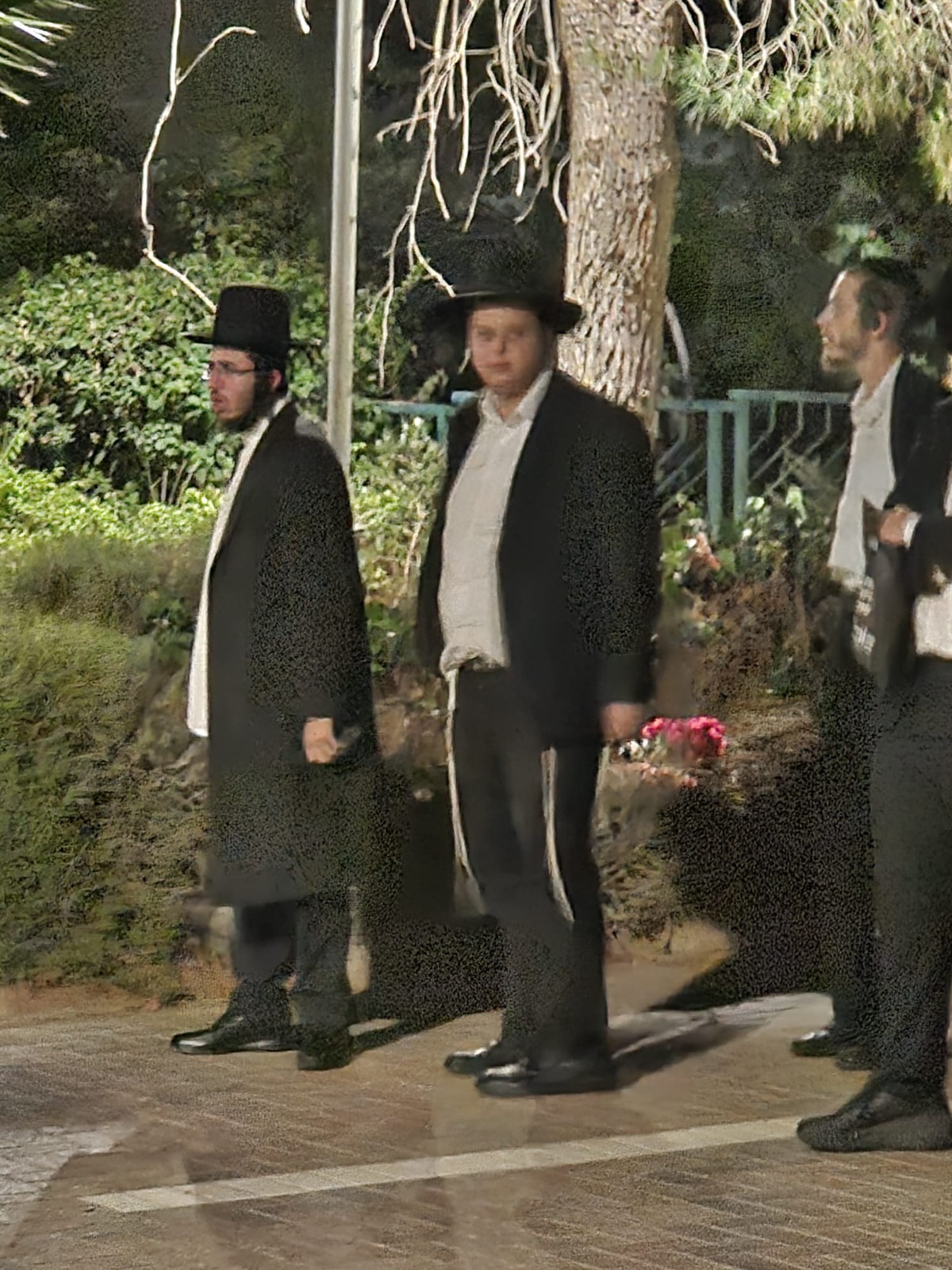 תמונה שצולמה על-ידי השכנים