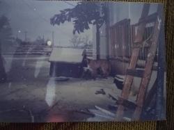 מתחם רייק ביום שלג נדיר בשנת 1992 (באדיבות משפחת רייק, תשרי תשפ"ו 2025)