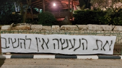 מחאה נגד כריתת העצים