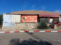 המכולת של אריה בישוב הארעי