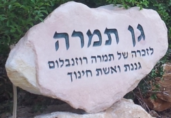 גן תמרה