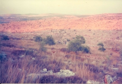 קידוש בית הקברות וכריית הקבר (צילום: יצחק הורניק)