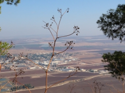 ציפי אהרמן - צלמת אמנותית