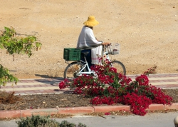 ציפי אהרמן - צלמת אמנותית