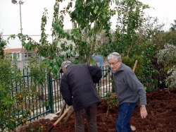 יצחק כהן