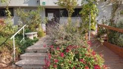 הכניסה למרפאה מרחוב שיר השירים