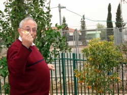 מאיר שטינר
ט"ו בשבט 2012