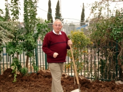 מאיר שטינר 
ט"ו בשבט 2012