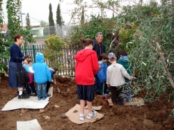 צדוק זהוראי וורה קויאט
