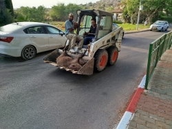 חזיר הבר נורה בלילה על-ידי רט"ג ופונה בבוקר (22/08/2025) התמונה צולמה על-ידי יצחק שרי.