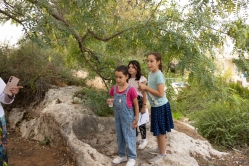 דריכת ענבים בגת הקדומה (צילום: דני סיטרון)