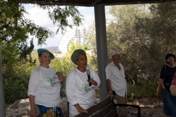 הדרכה בגת הקדומה (צילום: דני סיטרון)