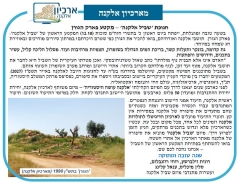 פרסום מקדים באלקנקנה (גיליון 1284 - ערב ראש השנה)