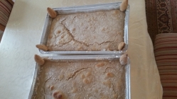 תרגולי המקדש