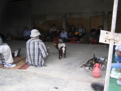 בדואים וקוצין (152)