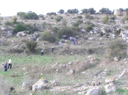 מודיעין, נוף איילון 066