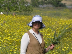 ניר גלים-אשדוד 326