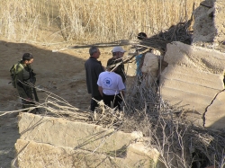 בית הערבה-מצדה 101