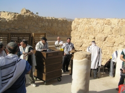 בית הערבה-מצדה 243