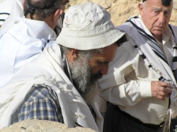 בית הערבה-מצדה 249