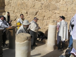 בית הערבה-מצדה 246