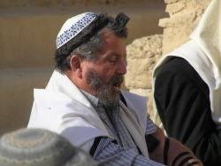 בית הערבה-מצדה 265