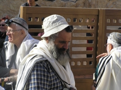 בית הערבה-מצדה 274