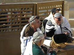 בית הערבה-מצדה 276