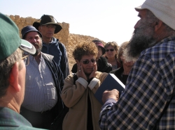 בית הערבה-מצדה 308