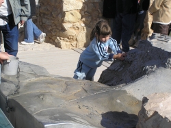 בית הערבה-מצדה 329