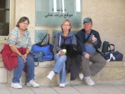 בית הערבה-מצדה 545