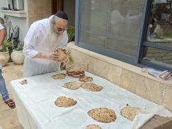 צילם דורון רדי