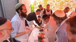 צילם דורון רדי