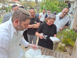 צילם דורון רדי