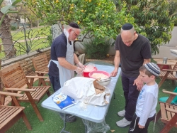 צילם דורון רדי