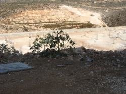 הכנות לבניית שכונת המדורגים ביישוב הארעי